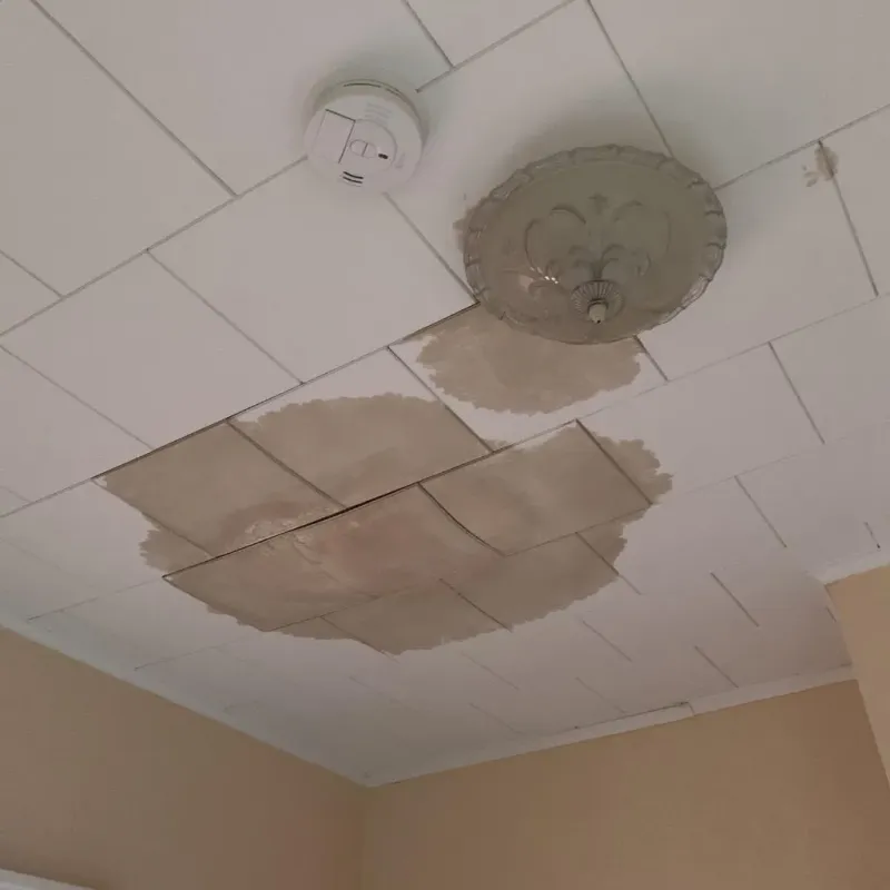 Ceiling Water Damage Repair in Mayville, NY
